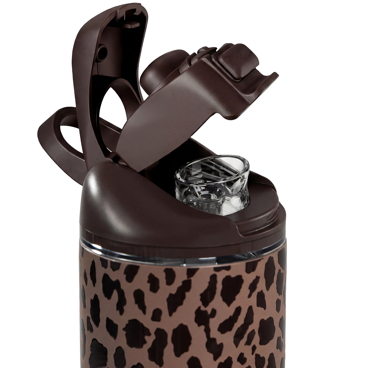 Brown Leopard - Water for Gym