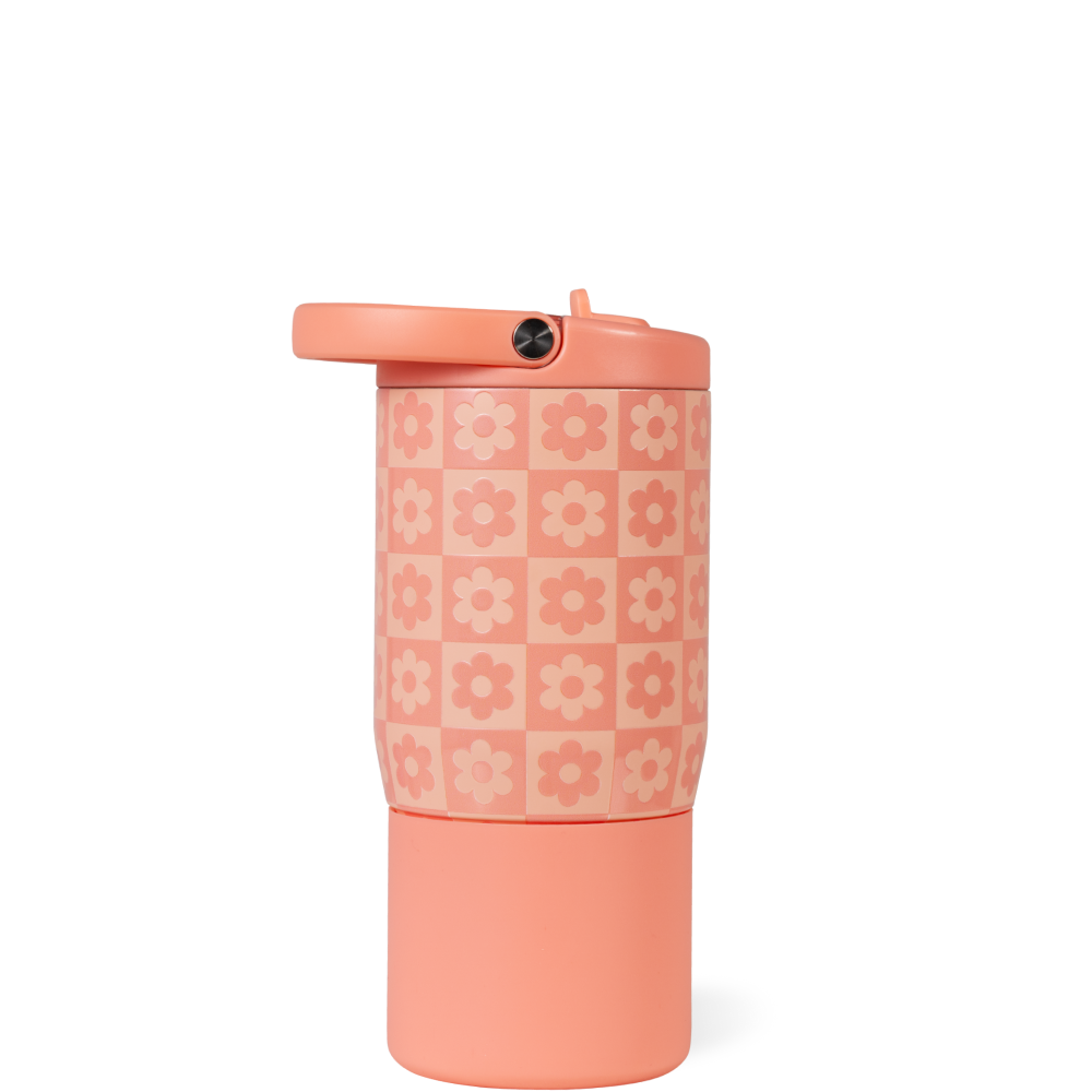 Daisy Checkers - Carry Your Jug