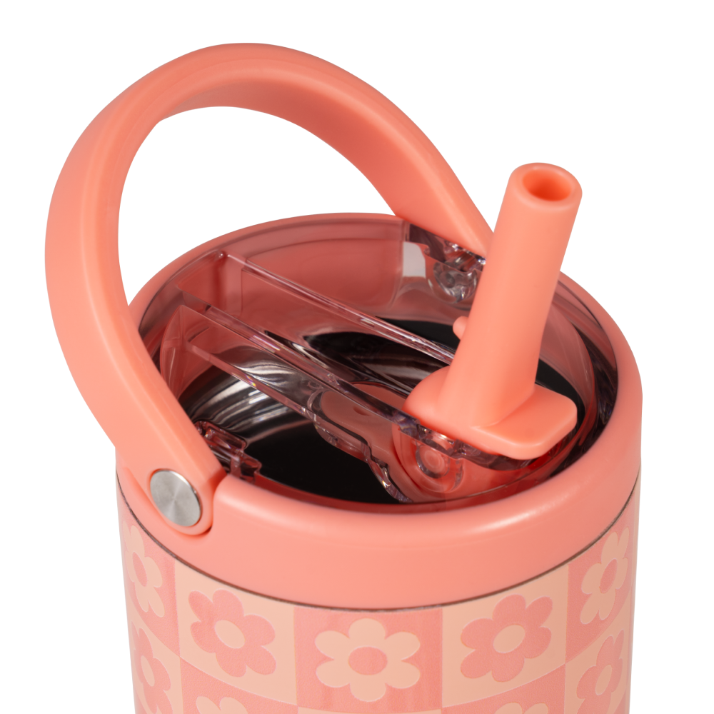 Daisy Checkers - Carry Your Jug