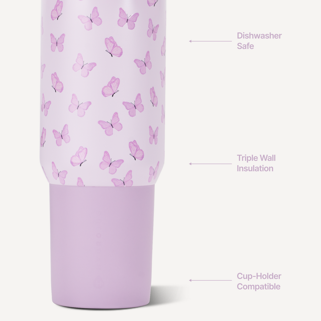 Flutter - Start With a Sip