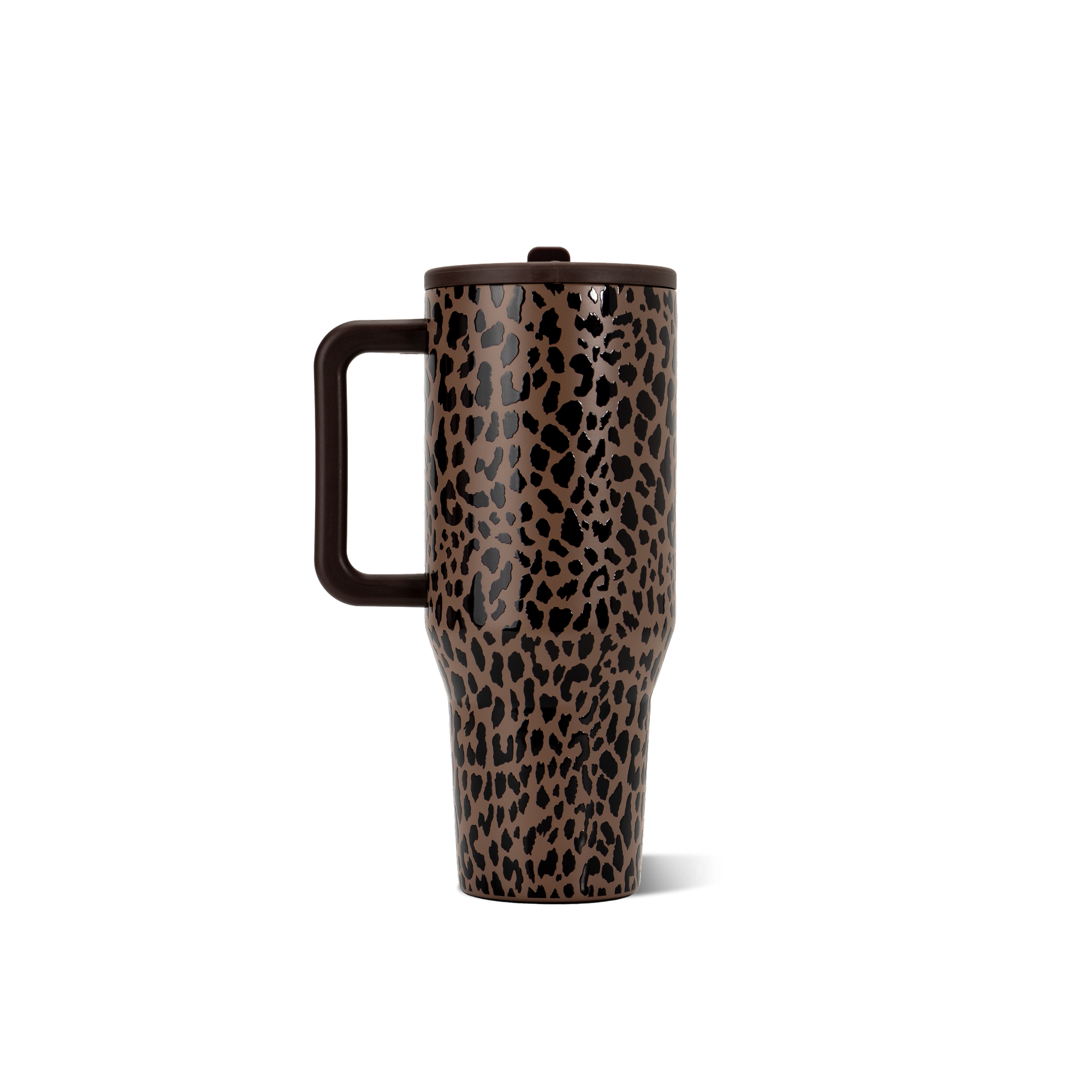 Brown Leopard - Carry the Day